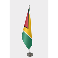 Drapeau officiel de la Guyane personnalisable 3x5 pieds, impression numérique, nylon, aluminium, polyester, vinyle, soie, utilisation automobile personnalisée