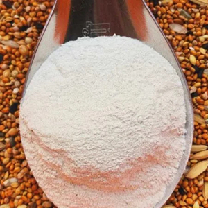 100% hueso de sepia de alta calidad sin impurezas ingrediente para hacer medicina buena para la salud fabricación en Vietnam - Product Image 1