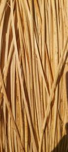 Bande de canne naturelle en écorce de rotin pour emballage de poignée de sac et artisanat décoratif faisant l'approvisionnement écologique du Vietnam - Product Image 4