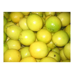 TOP PRE MIUM Fruta Lima Fruta Condimento Agrio Verde Limón Fresco Orgánico Cultivado Eureka Limón OEM Venta al por mayor Mejor Precio - Product Image 1