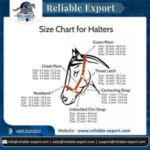 Best Buy Cheval équestre PP Halter fait à la main avec Noseband rembourré Disponible en plusieurs couleurs de qualité supérieure - Product Image 6