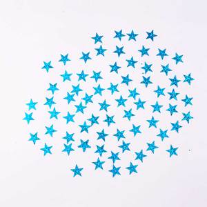 <b>Sequin</b> Special Shape Small Centered Hole Holographic Color, Selanusa - Product Image 1