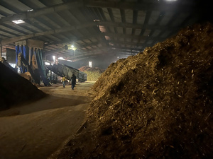 Pellets de madera de calidad superior de alta producción de energía vietnamita, bajo contenido de cenizas para una calefacción eficiente - Product Image 6