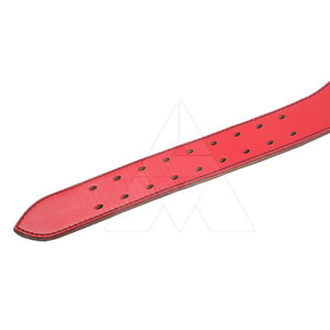 เข็มขัดยกน้ำหนักสีสันใหม่มาแรง ขายดีที่สุด ลดราคาออนไลน์ - Product Image 6