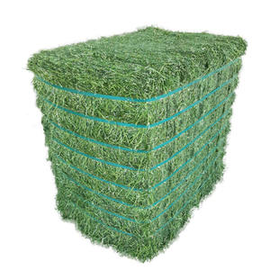 Foin de luzerne de haute qualité pour l'alimentation des animaux Foin de luzerne Timothy foin prix discount Meilleure vente de qualité supérieure - Product Image 4