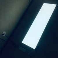 Panneau EL ultra-lumineux en papier, feuille mince électroluminescente découpable, panneau EL avec onduleur, matériau PVC, toutes couleurs, noir