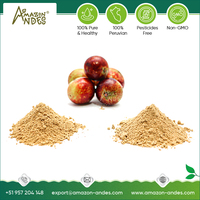 Venta al por Mayor de Polvo de Extracto de Fruta de Camu Camu 100% Orgánico, Altamente Versátil, para Smoothies y Productos Horneados a Bajo Precio