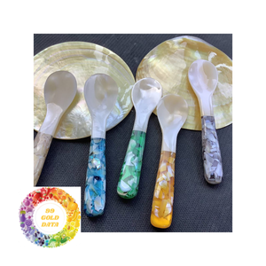 Conchas de concha de nácar pulidas para manualidades o decoración artística Hermosos diseños a precios razonables - Product Image 1