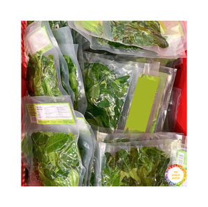 Bâtonnets de feuilles de kaffir congelées Feuilles de kaffir IQF de haute qualité Idéal pour un usage culinaire Prix compétitif - Product Image 3