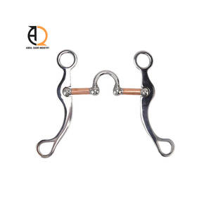 Bocados para Montar a Caballo, Precio Económico, Acero Inoxidable, Veterinario, Duradero, Reutilizable, Seguridad Ecuestre - Product Image 2