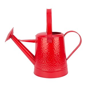 Arrosoir galvanisé de nouvelle conception pour la maison et le jardin avec le bidon d'eau de finition personnalisé - Product Image 5