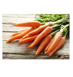 Ferme biologique-Carottes fraîches en vrac Légumes sucrés et naturels prêts pour l'exportation Approvisionnement sain à bas prix - Product Image 2
