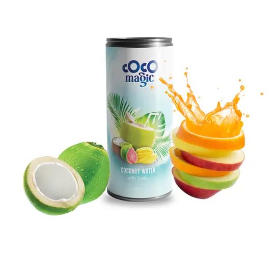 Wholesale 240ml Can Original Taste Organic Coconut Water With Fruits Distribution Newest Oem Beverage Made in India to Export