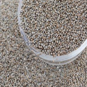 Alimento para animales de mijo verde de primera calidad a un precio asequible disponible para la venta - Product Image 5