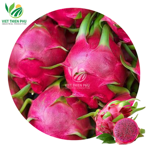 VIET THIEN PHU VTP/Agua orgánica de fruta fresca y congelada de dragón, conservada y envasada a granel, venta al por mayor directa de Vietnam - Product Image 1
