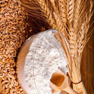 Grano de Trigo / Harina de Trigo - Product Image 1