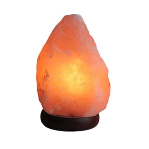 Lampe au sel rose de l'Himalaya écologique Forme naturelle Fleur sculptée Style Logo personnalisé Emballage personnalisé Sian Enterprises - Product Image 2
