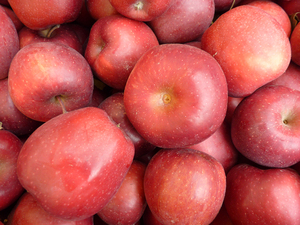 Manzana Fuji Roja Fresca Orgánica de Primera Calidad en Venta - Product Image 4