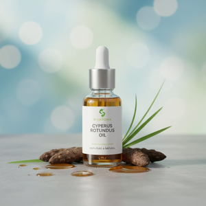 Chất lượng cao cyperus tinh dầu cho hương liệu Nước hoa mỹ phẩm thiên nhiên & cao cấp hương thơm công thức cung cấp số lượng lớn - Product Image 2