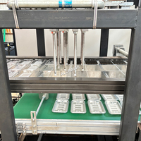 3/4 Stations Volautomatische Wegwerp Plastic Fruitcontainer Thermovormende Machine Voor Pp Pet Pla Pvc Ps Voedsel Scharnierende Doos