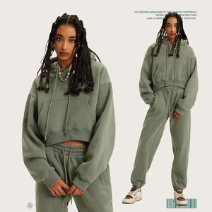 Sudadera con Capucha de Forro Polar para Mujer, Talla Grande, Corte Regular, Informal, de Invierno, con Logotipo Frontal Personalizado OEM, Anti-Pilling - Product Image 1