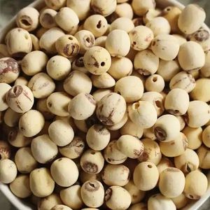 เมล็ดบัว Phool Makhana เกรดดีที่สุดสำหรับโซ่ค้าปลีกและผลิตภัณฑ์อาหารเพื่อสุขภาพ - Product Image 5