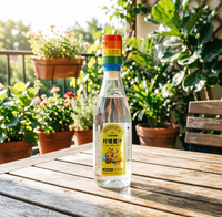Natuurlijke Honing Elixir Drank met Premium Fruit Smaak Gezonde Levensstijl Drank 435ml Fles