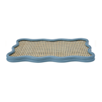 Plateau en rotin tissé artisanal plateau de canne peint au pastel parfait pour les présentoirs de table basse et la décoration d'intérieur élégante en gros du Vietnam
