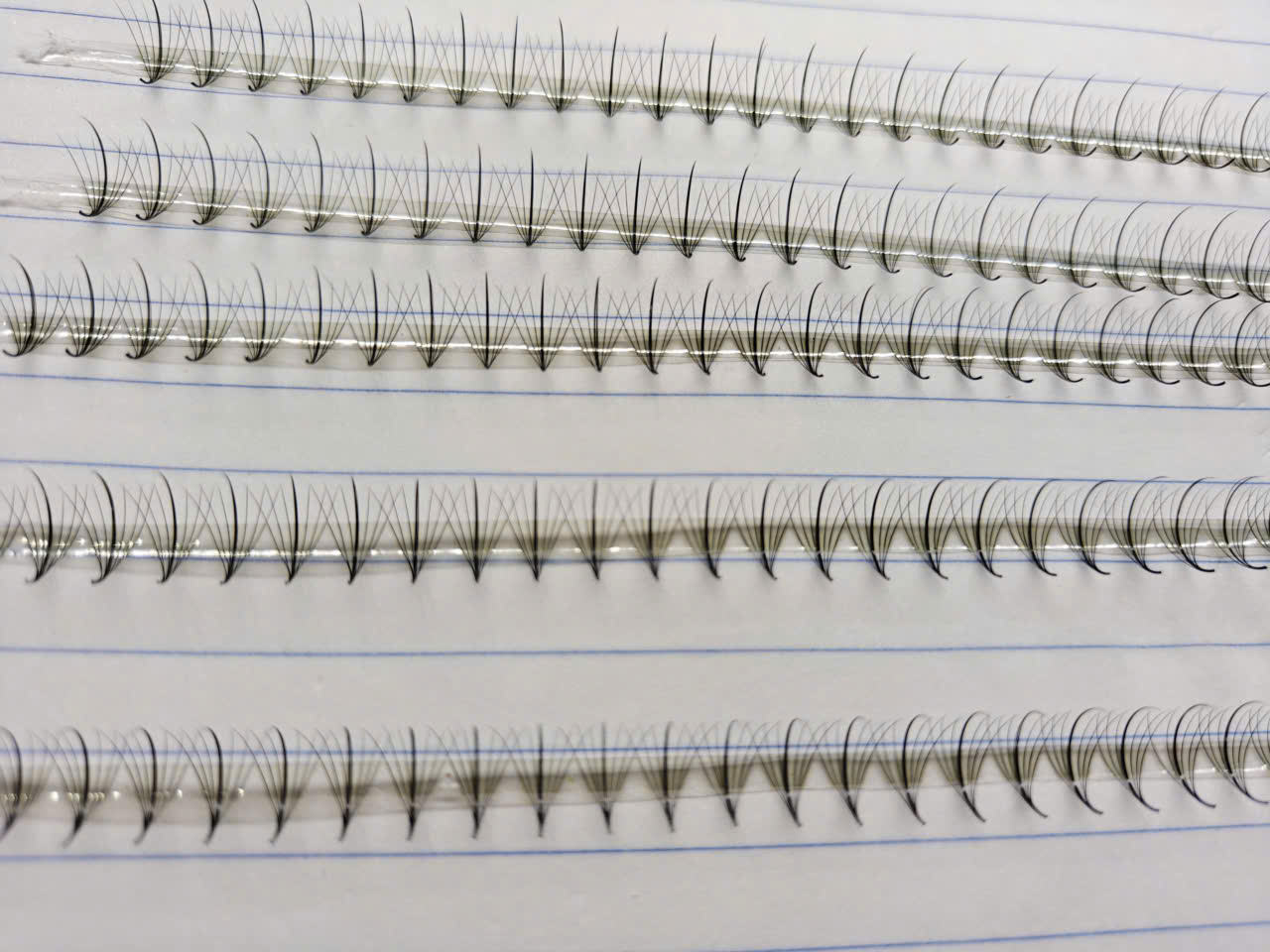 Round Tray Mix D Curl Ultra Dark Pro made Loose 1000 Fans