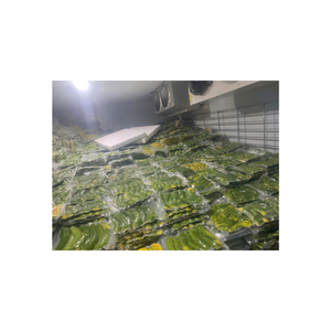 Cubos de Aguacate Congelado Calidad Premium Aguacates Hass Maduros Congelados Flash Para Conservar Nutrientes Ideal Para Batidos Y Uso Culinario - Product Image 6