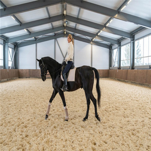 Prefabbricato in acciaio cavallo Arena kit per sala officina e fattoria scuderie per la vendita - Product Image 6