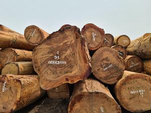 Bois d'Azobe Ekiki Scié en Gros, Planches de Bois Dur de Qualité Supérieure, Écologique, Résistant à l'Eau, Garantie 2 Ans, Origine États-Unis - Product Image 4