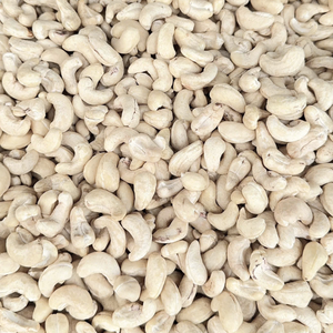 เม็ดมะม่วงหิมพานต์ W240จากเปลือกมะม่วงหิมพานต์450 SW santigo โรงงานเวียดนามขายส่งไปยังสหภาพยุโรปตะวันออกกลาง - Product Image 1