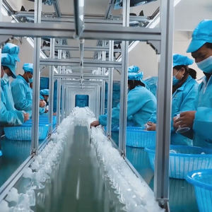 Sucette pour bebe 2023 plus récent Offre Spéciale couleur mélangée non toxique sans BPA Silicone bébé sucette - Product Image 5