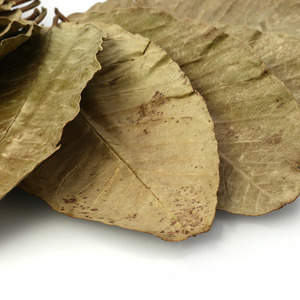 ใบฝรั่งแห้งสำหรับทำชาสมุนไพรเพื่อสุขภาพ - Product Image 4