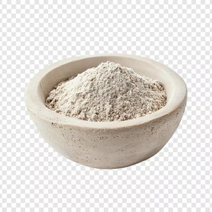 FOURNISSEUR DE POUDRE DE RACINE D'ARROGUROUSSE BIOLOGIQUE |   Amidon fin pour boulangerie et cuisine, Colombie - Product Image 4