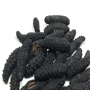 Số lượng lớn khô dưa chuột biển ở dạng bột Chất lượng cao cấp dưa chuột biển sản phẩm - Product Image 1