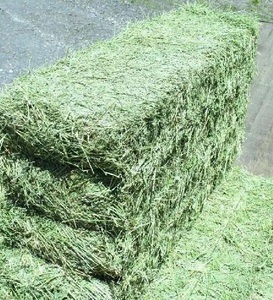 Alfalfa déshydraté de qualité export, qualité alimentaire, durée de conservation de 24 mois, utilisation pour l'alimentation animale, vente en gros par palettes - Product Image 5
