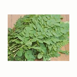 Hojas secas orgánicas de Moringa Hierbas naturales ricas en vitaminas y buenas para la salud - Product Image 6