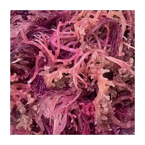 Algues marines séchées au soleil naturelles du Vietnam, algues marines séchées de haute qualité Eucheuma Cottonii, algues marines séchées en vrac pour l'exportation en gros - Product Image 2