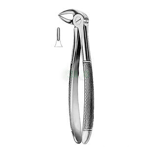 Manual Extracting Tooth Forceps <b>Dentists</b> High Quality Medical Grade Stainless Steel Dull <b>Mirror</b> Finish CE Certified Lifetime - Product Image 1
