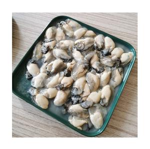 Huîtres demi-coquille de qualité supérieure, durée de conservation de 18 mois, vente en gros d'huîtres congelées, origine Belgique - Product Image 4