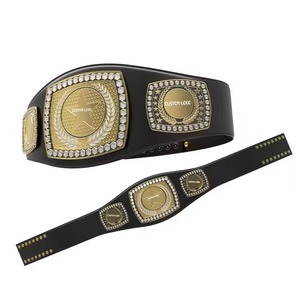 2025 dernière arrivée ceinture de lutte en cuir véritable léger avec plaques de métal en laiton ceintures de sport à pression rapide pour les Arts martiaux - Product Image 5