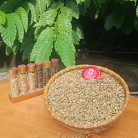 OEM Bolsa de 60 kg de Granos de Café Verde Robusta de Primera Calidad, Crudos, Uniformes, Sin Defectos, para Tostadores Globales B2B