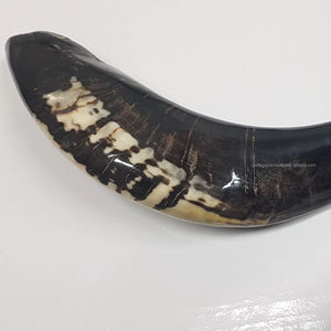Shofar Tradicional Ecológico, Cuerno de Carnero Artesanal para Rituales Judíos, Decoración del Hogar, Venta al por Mayor en India - Product Image 1