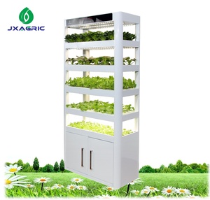 Gabinete <span class=keywords><strong>de</strong></span> Jardín Hidropónico Inteligente para Interiores con Luz LED <span class=keywords><strong>de</strong></span> Cultivo, Sistema <span class=keywords><strong>de</strong></span> Cultivo <span class=keywords><strong>de</strong></span> Plantas para Lechuga, Hierbas, Ensaladas, Vegetales, <span class=keywords><strong>Cocina</strong></span> y Hogar - Product Image 4