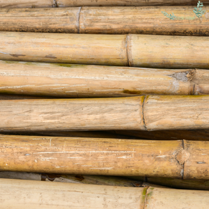 Hot Seller Hot Trending 2025 Postes de bambú Vietnam natural para la construcción con alta calidad y buen precio Hecho en Vietnam - Product Image 3