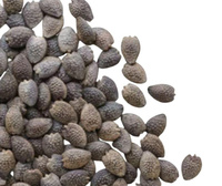 Offre Spéciale Graines de Fruits de la Passion Séchées de Qualité Supérieure, Meilleur Prix, Offre Tropicale, 1 kg