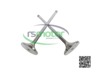 Válvula de entrada de piezas originales de Venta caliente MWM RS-12420827 adecuada para TBG 604 ; TBG 620 ; TCG 2020 ; CG 170 - Product Image 2