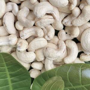 โรงงานเม็ดมะม่วงหิมพานต์ในกระป๋องสามารถ W180คุณภาพเชิงพาณิชย์ซันติโกเวียดนามโรงงานพร้อมบรรจุภัณฑ์แบบกำหนดเอง - Product Image 1